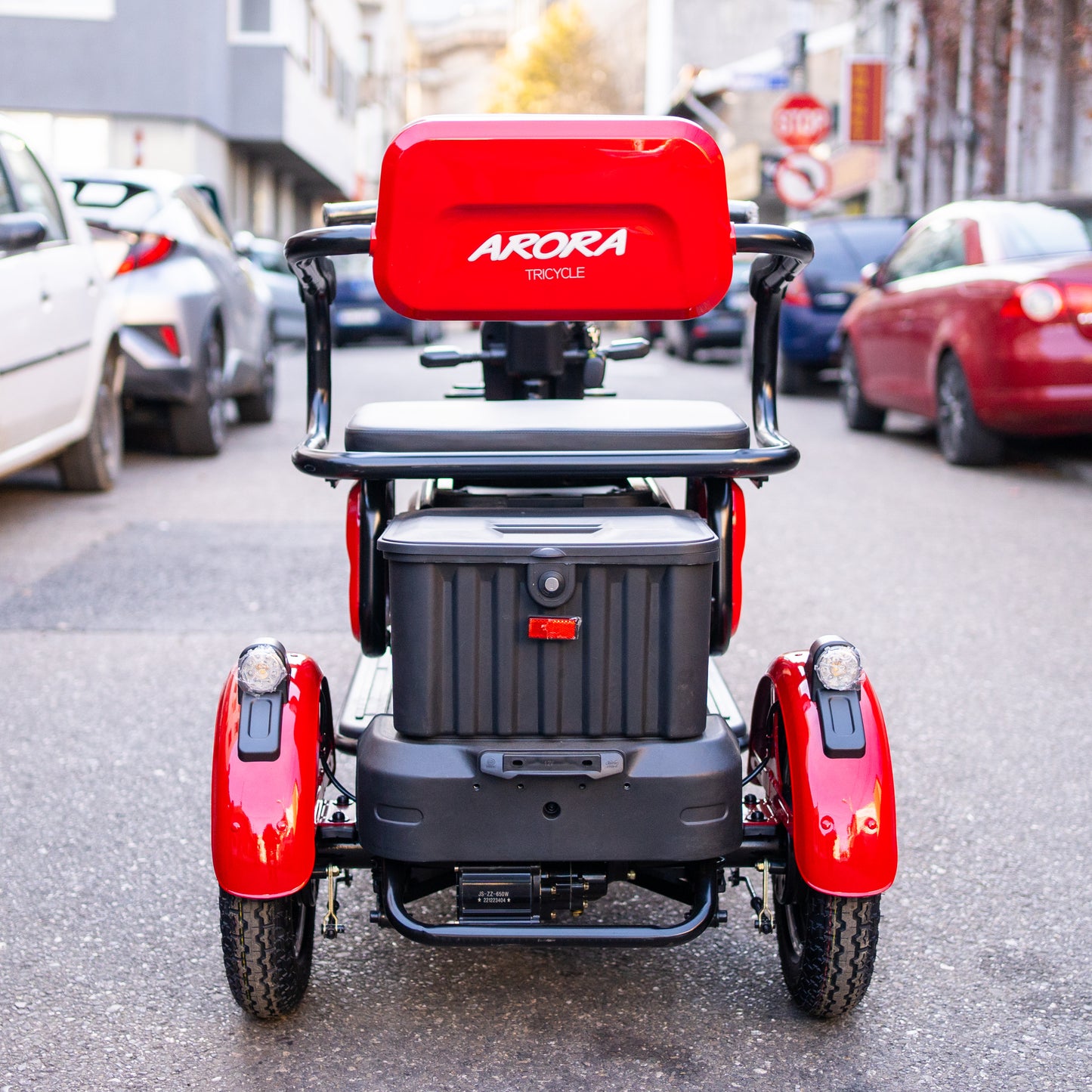 Tricicletă Electrică RUZGAR ARORA Fără Permis, Viteză Maximă 25km/h, Autonomie 45km, Motor 650W, Baterie 60V 20Ah