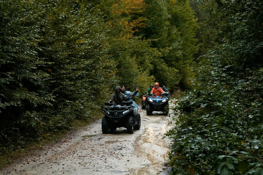 Top 3 destinații de off-road ușor în România pe care le poți explora cu un ATV