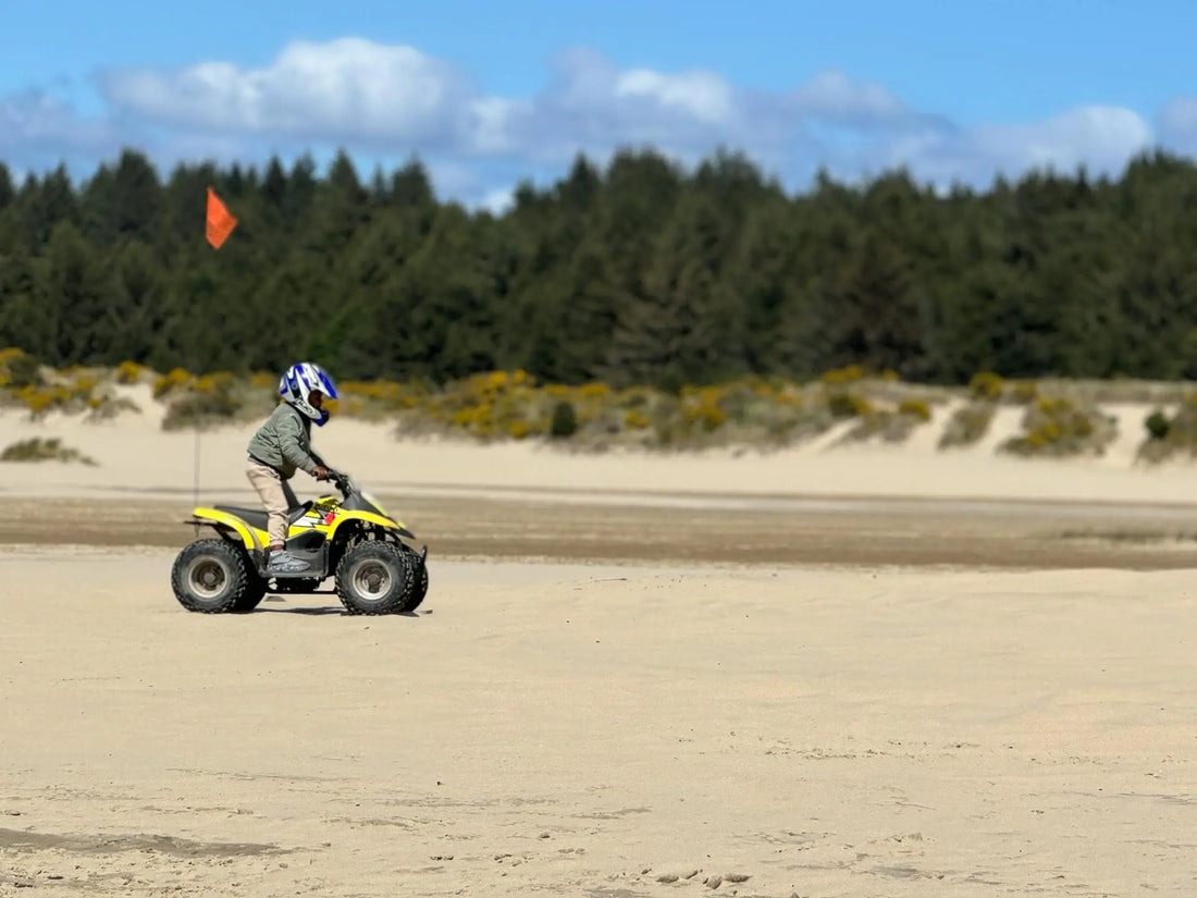 Ghidul părinților pentru alegerea ATV-ului electric pentru copii - vârstă minimă, siguranță și modelul ideal
