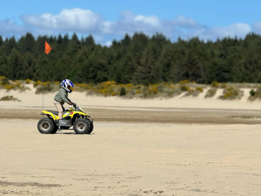 Ghidul părinților pentru alegerea ATV-ului electric pentru copii - vârstă minimă, siguranță și modelul ideal