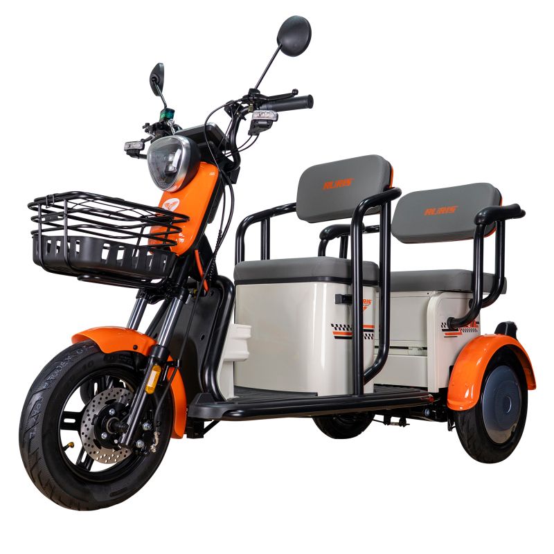 Spatele triciclului RURIS PILOT 3020A