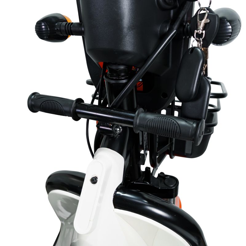 Ghidon și comenzi la triciclul PILOT 3010A