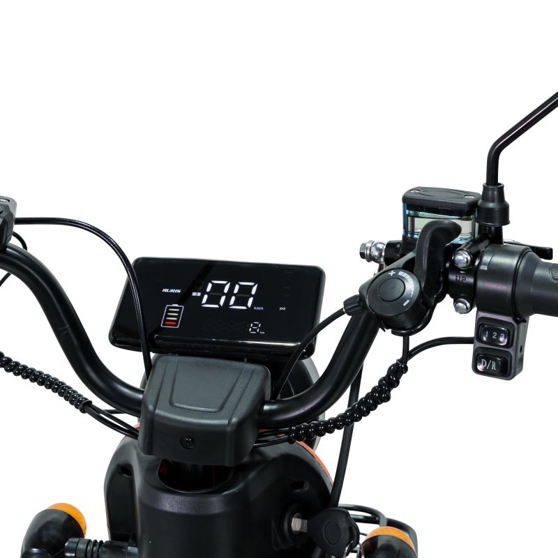 Display LCD mare pe ghidonul PILOT 3010A