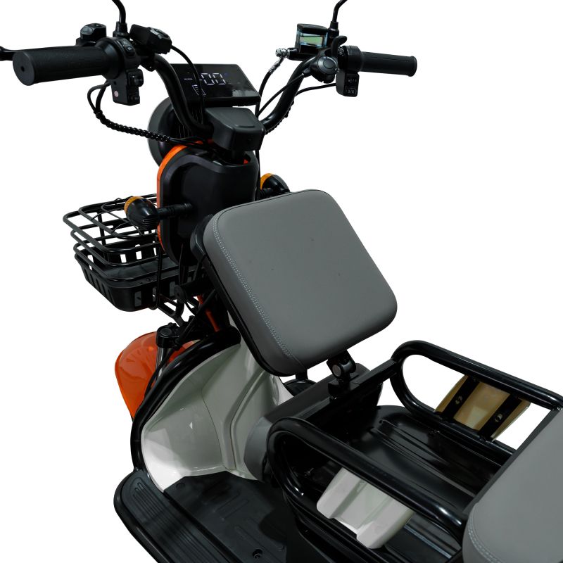 Scaunul șoferului la triciclul RURIS PILOT 3010A